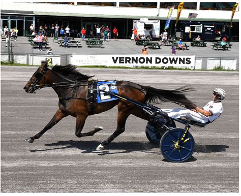 united states trotting assn results.